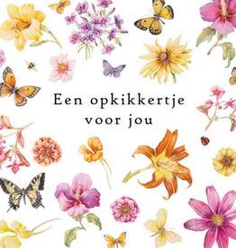 Een Opkikkertje voor Jou - Wenskaart Janneke Brinkman