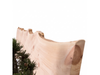Zirben houten bed Roos