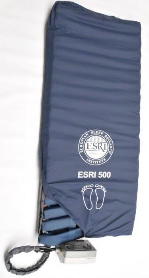 ESRI 500