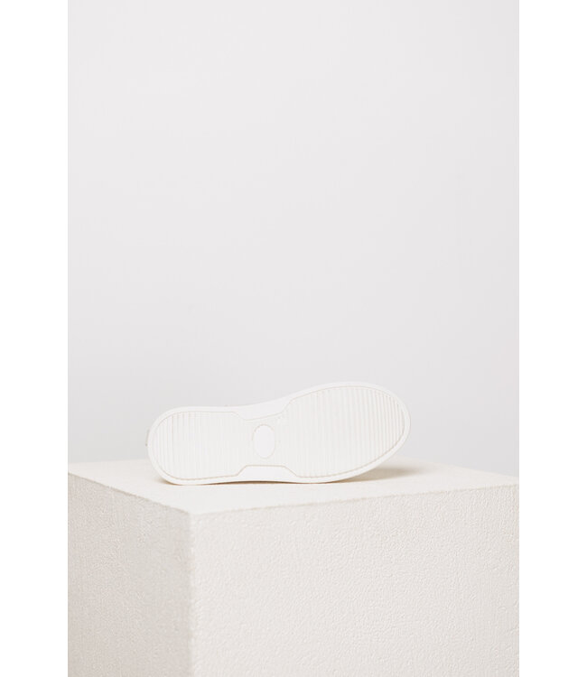 PEDRO MIRALLES 22053 GO1 MOUSE ARTICO