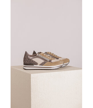 DL Sport DL Sport 5855 292 VELOUR NUDE