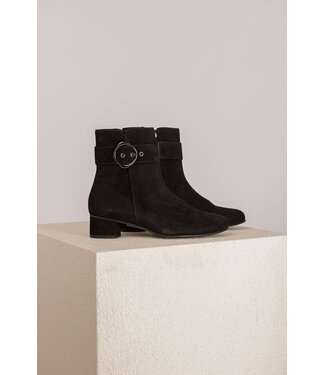 Hassia Hassia SIENA 6-303095-0100 Schwarz