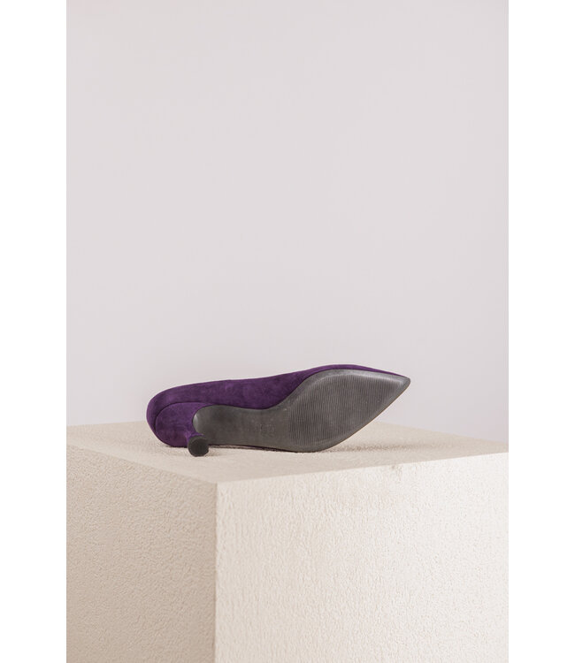 KENNEL SCHMENGER 21.78200 416 paars