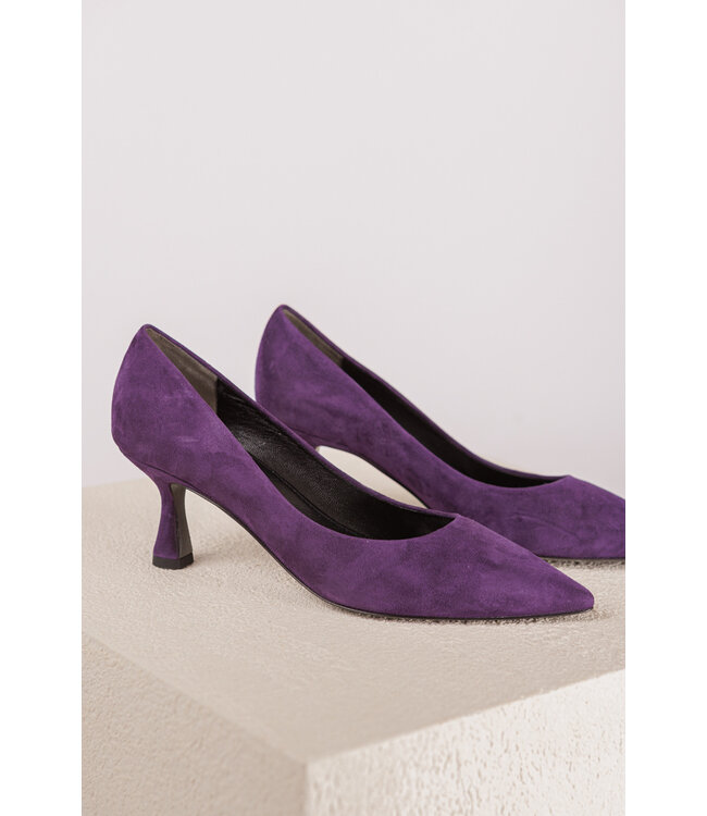 KENNEL SCHMENGER 21.78200 416 paars