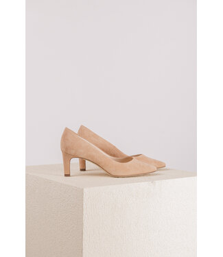 Peter Kaiser Peter Kaiser 66501 biscotti