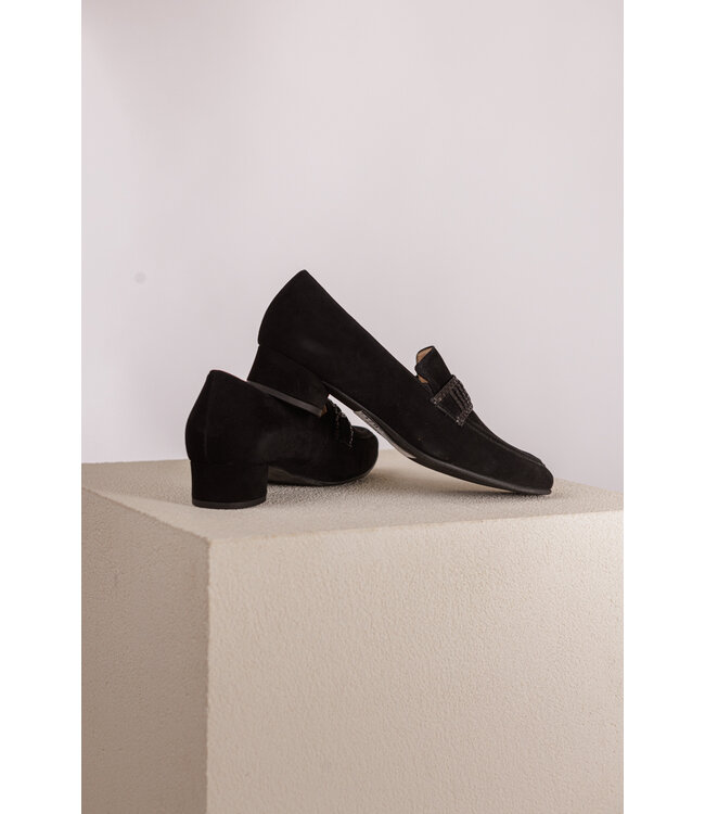 HASSIA 8-302663 SCHWARTZ