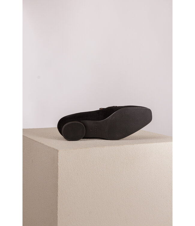 HASSIA 8-302663 SCHWARTZ