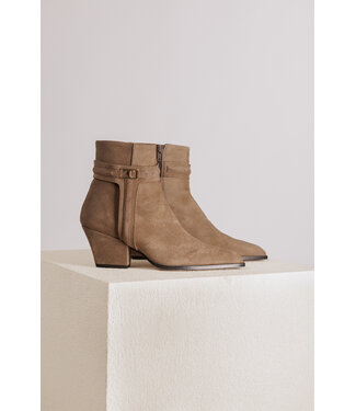 Toral TORAL TL-COSSIMA SANDER