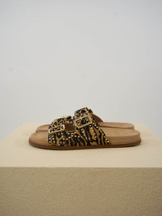 Toral TORAL SELMA SUEDE SLIPPER PANTHER