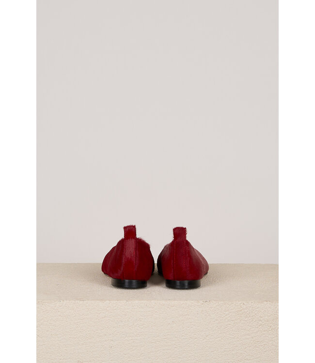 ODARE CAVALLINO ROSSO