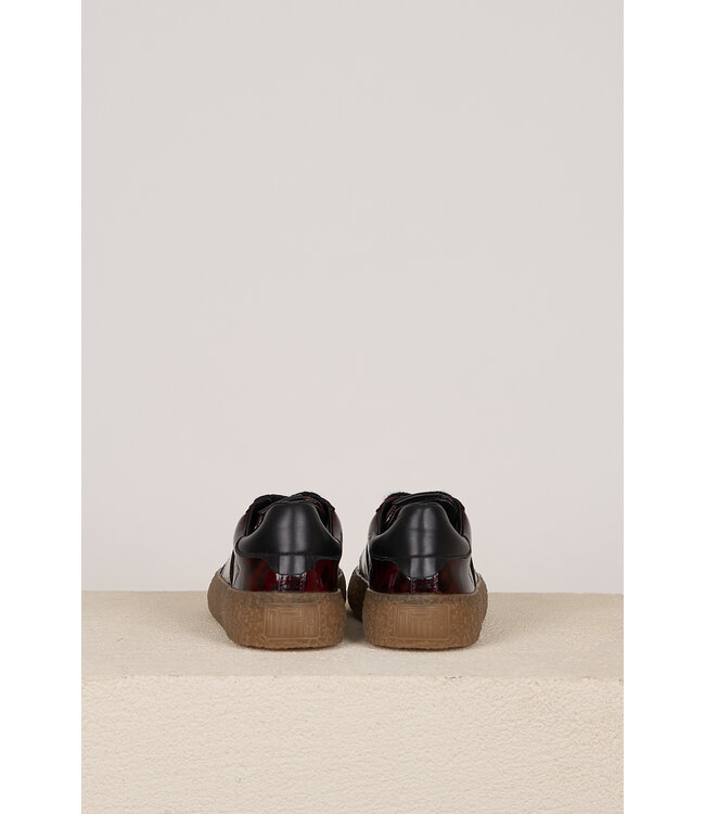 KENNEL SCHMENGER 61.14700 581 LEO