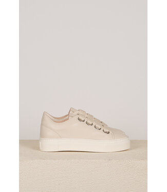 Attilio Giusti Leombruni (AGL) AGL SNEAKERS