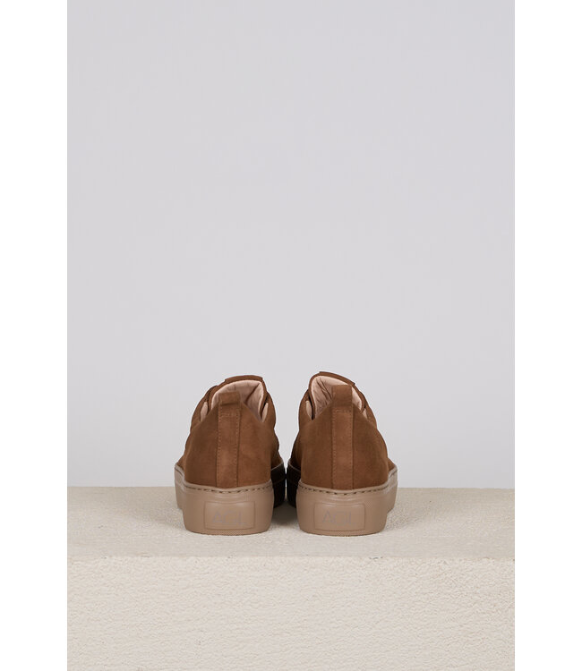 AGL SNEAKER FERGUS-VANANDA SELLA-COOKIE