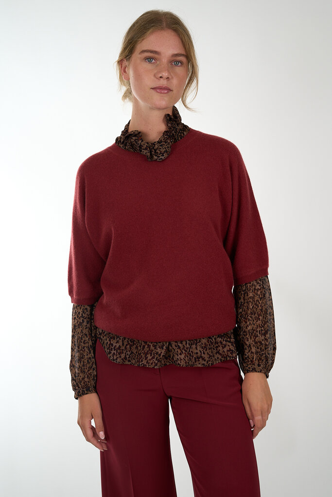 Luisa Cerano LUISA CERANO 228621/3778 7589