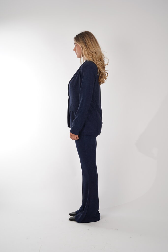 JOSEPH RIBKOFF 253721 51