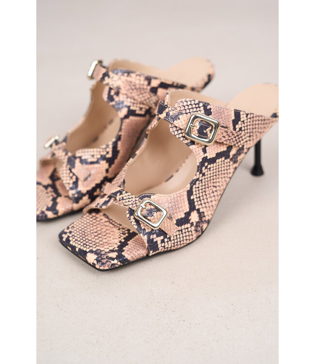 MARCH23 RAQUELLE POWDER PYTHON