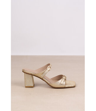 MARCH23 MARCH23 PYTHON SANDAAL