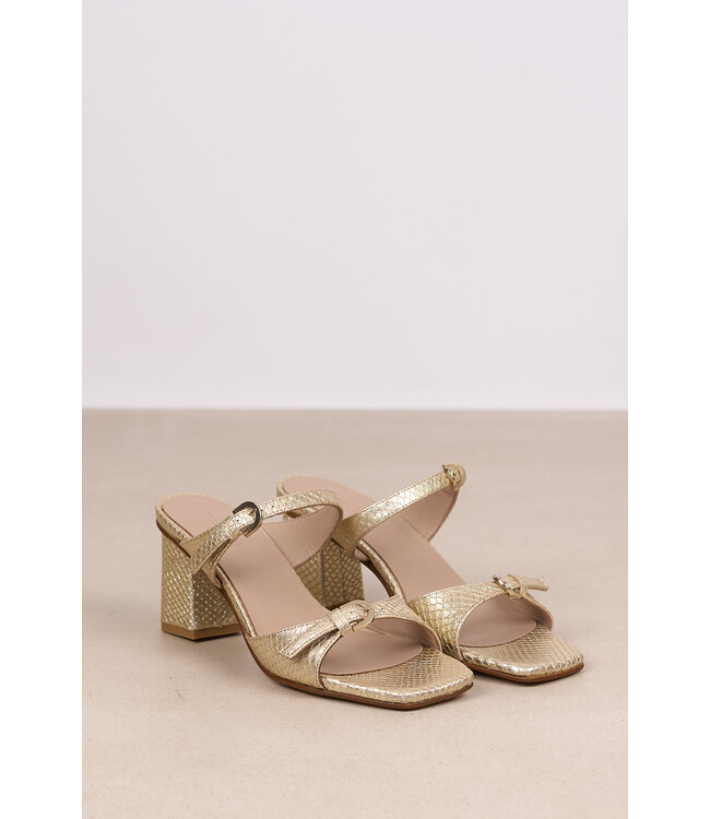 MARCH23 A7452 GOLD PYTHON