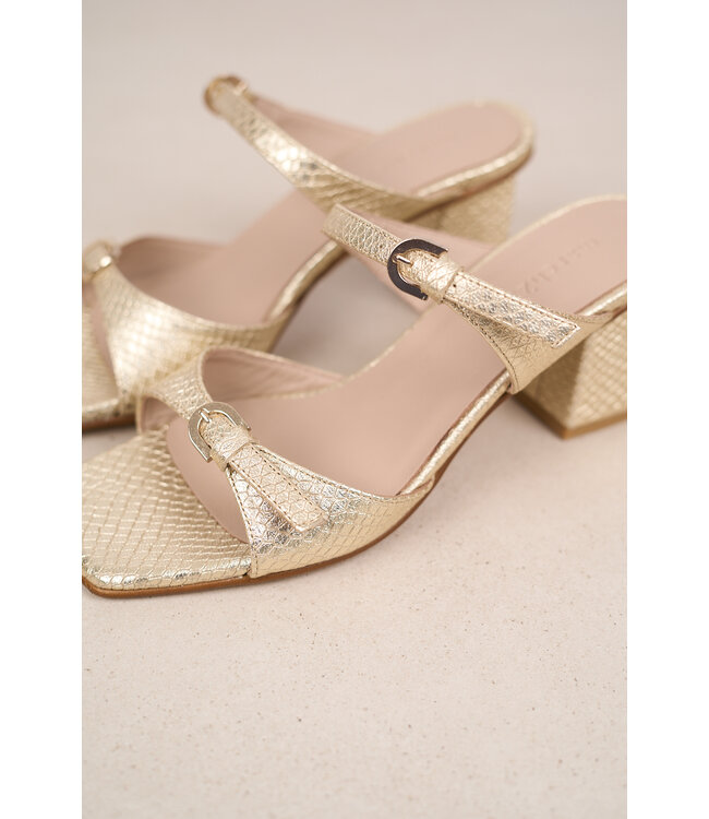 MARCH23 A7452 GOLD PYTHON