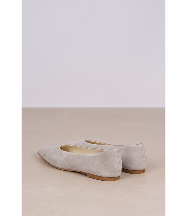 ODARE LILLY CAMOSCIO ALOE