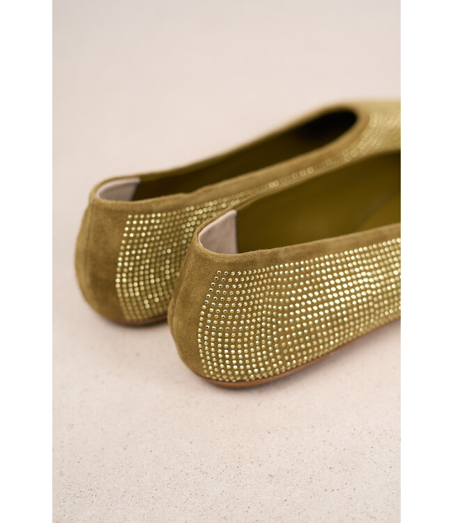 ODARE LILLY CAMOSCIO ALOE