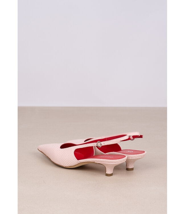 ODARE ANNA PITONE CLASSIC ROSA