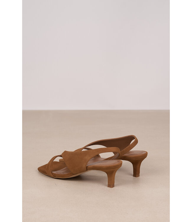 TORAL DELFINA SOFIA ANTE SADDLE