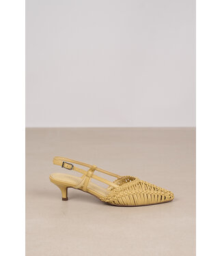 Toral TORAL KATHRYN BRAID YELLOW(AMARILLO)