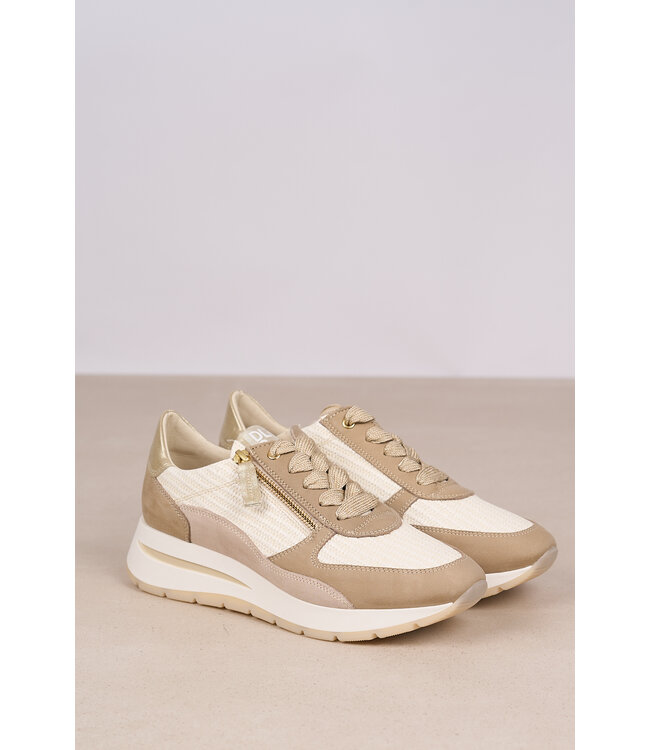 DL SPORT 6561 GOMMA ROMA BEIGE