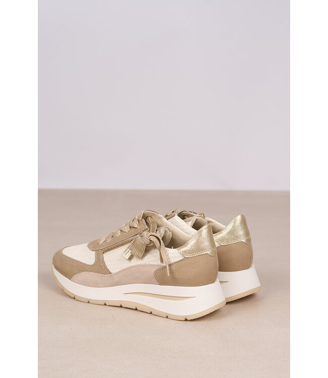 DL SPORT 6561 GOMMA ROMA BEIGE