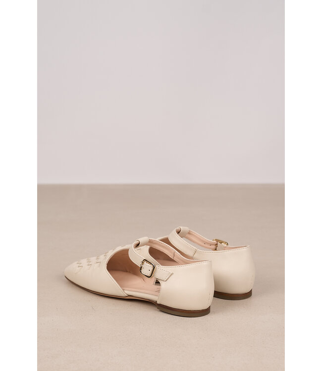 AGL D566010PDSOFTY0119