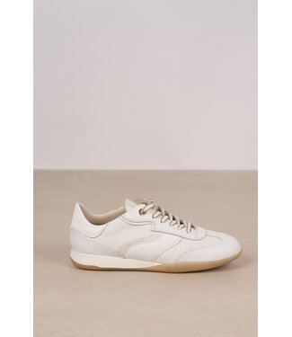 DL Sport DL SPORT RETRO SNEAKERS