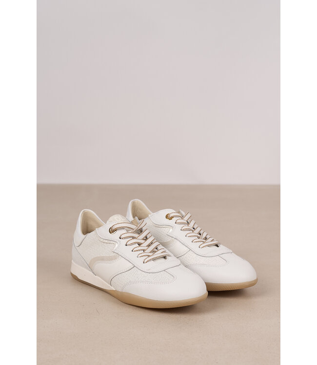 DL SPORT 6572 GOM PAMELA CREMA