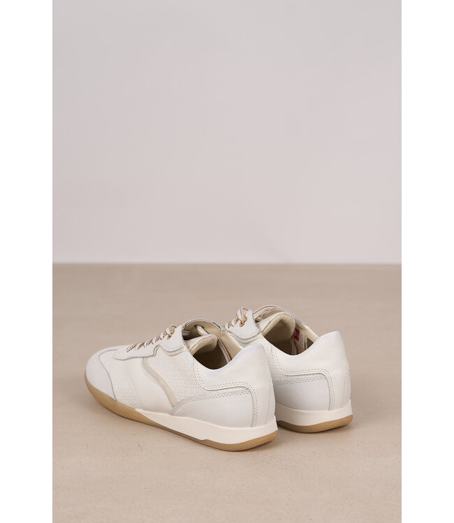 DL SPORT 6572 GOM PAMELA CREMA