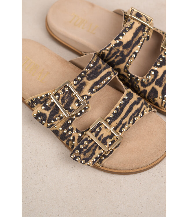 TORAL SELMA CALIPSO ARENA