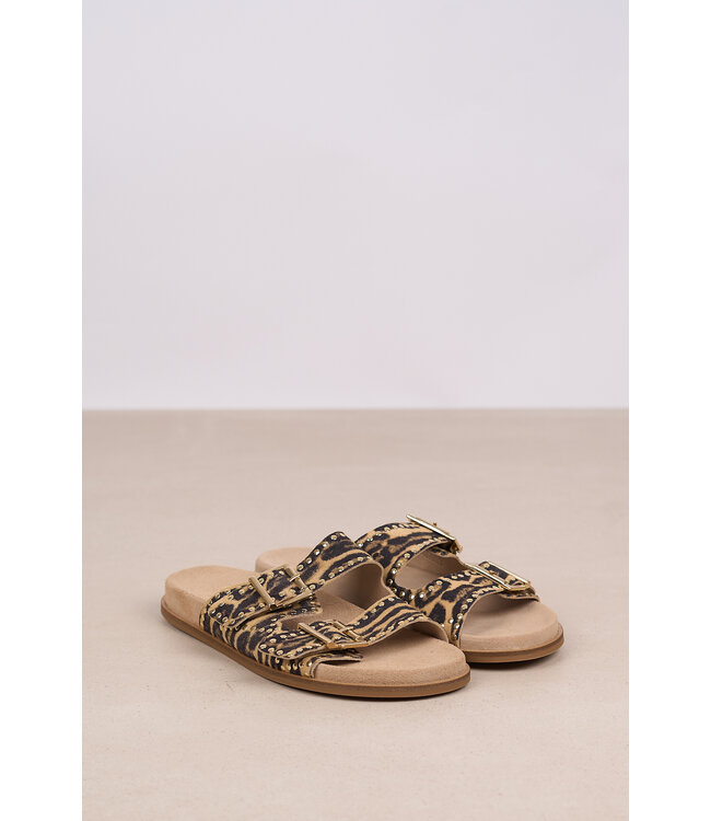 TORAL SELMA CALIPSO ARENA