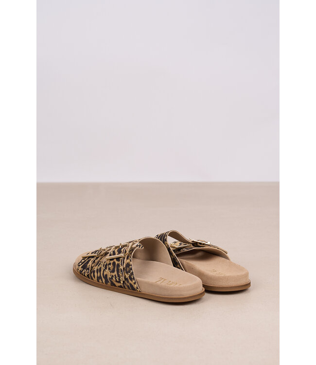 TORAL SELMA CALIPSO ARENA