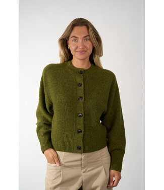 Zenggi ZENGGI Y03-1019 3006 FERN GREEN