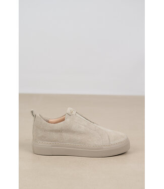 Attilio Giusti Leombruni (AGL) AGL SNEAKER LODEN VANANDA GREY