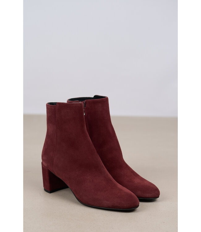 AGL BOOTIE FERGUS BURGUNDY