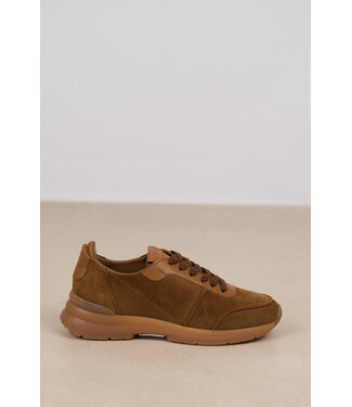 Copenhagen Studios COPENHAGEN CPH740 NEW BROWN