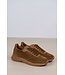 COPENHAGEN CPH740 NEW BROWN