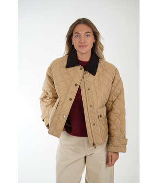 MAXMARA MAXMARA WKDPINCIO 001