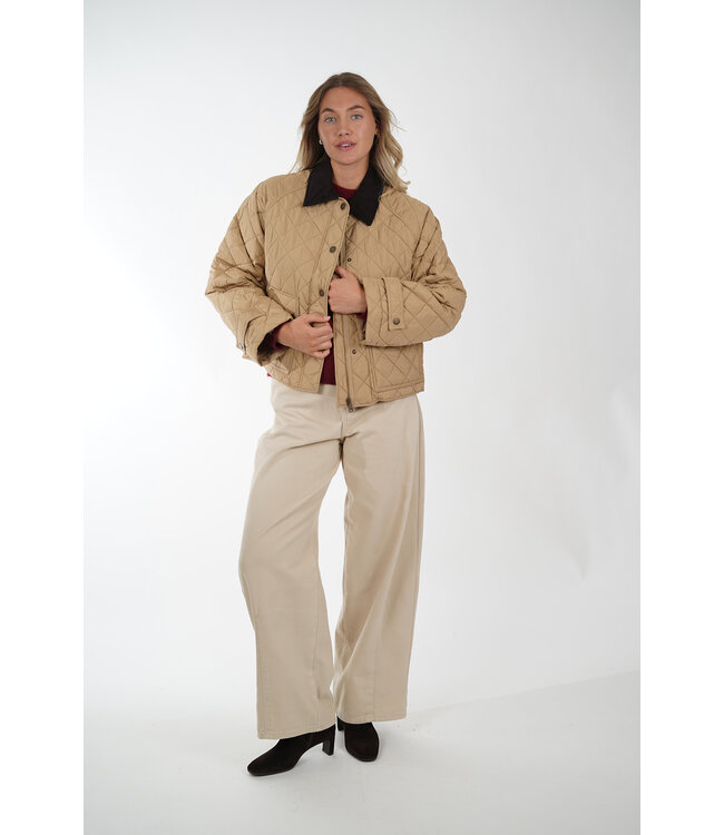 MAXMARA WKDPINCIO 001