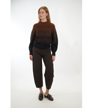 Drykorn DRYKORN BROEK BRUIN