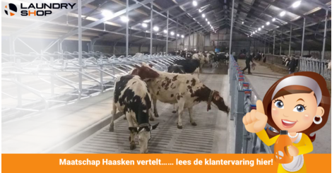 Maatschap Haasken vertelt ...