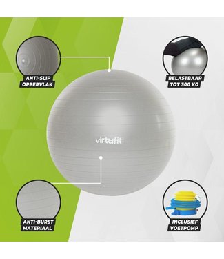 VirtuFit Virtufit Fitnessbal Pro Met Pomp