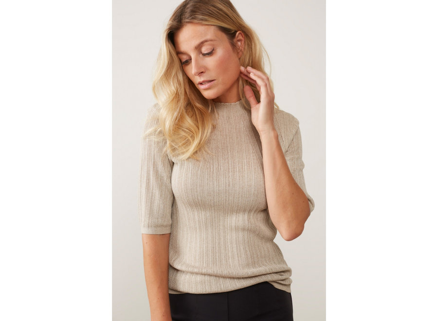 Trui with a high neck half sleeves and textured details champagne