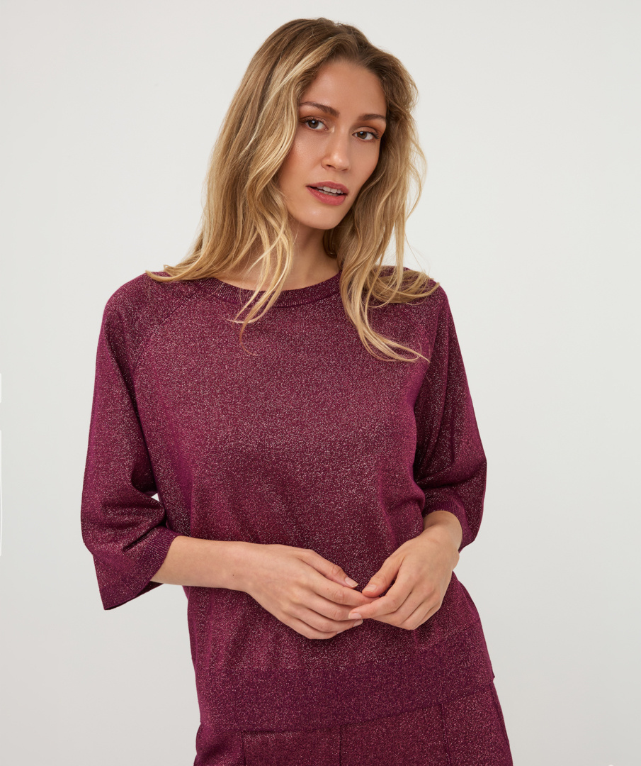 Trui W26.07708 beet-5