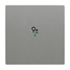 Busch-Jaeger   Free@Home bedieningswip 1v dimmer Solo grijs metalic